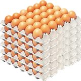 Jumbo Size Tray (Large Eggs) 