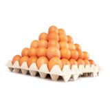 Premium Brown Pack (Brown Eggs)